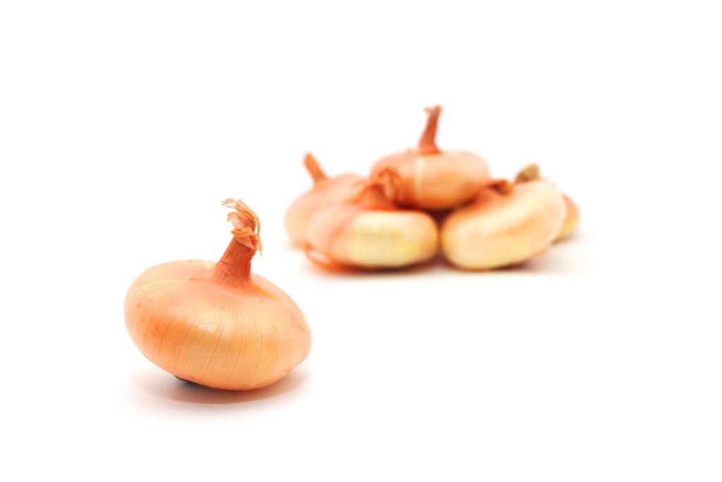 Cipollini onion
