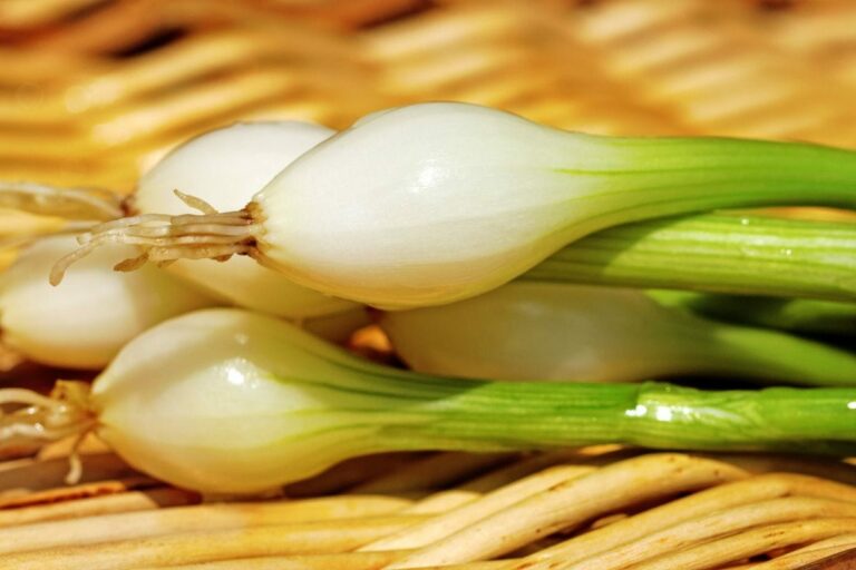 Can’t Find Spring Onions? These Flavorful Alternatives Will Add a Punch to Your Dishes!