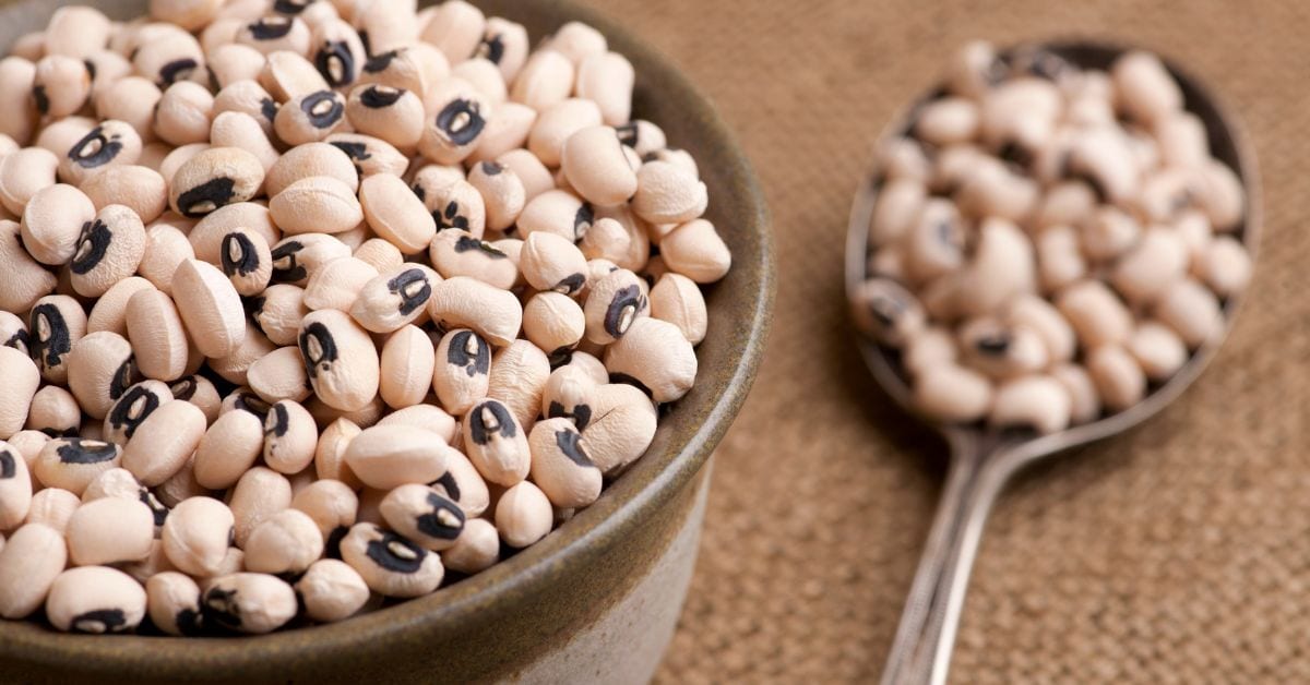 Black-Eyed Peas in a bowl and a spoon full of them