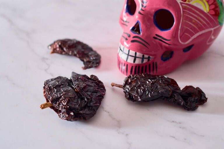 Can’t Find Pasilla Chiles? These Flavorful Alternatives Will Add Spice to Your Dishes!