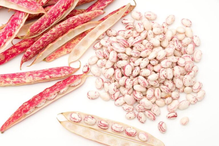 No Borlotti Beans? No Problem! Try These 9 Great Substitutes