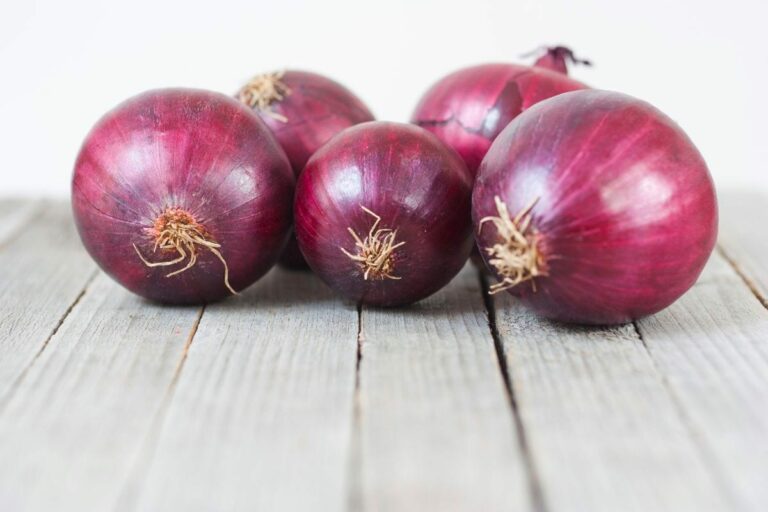 From Vidalia to Red Onions: The Top Spanish Onion Substitutes to Use in Your Dishes