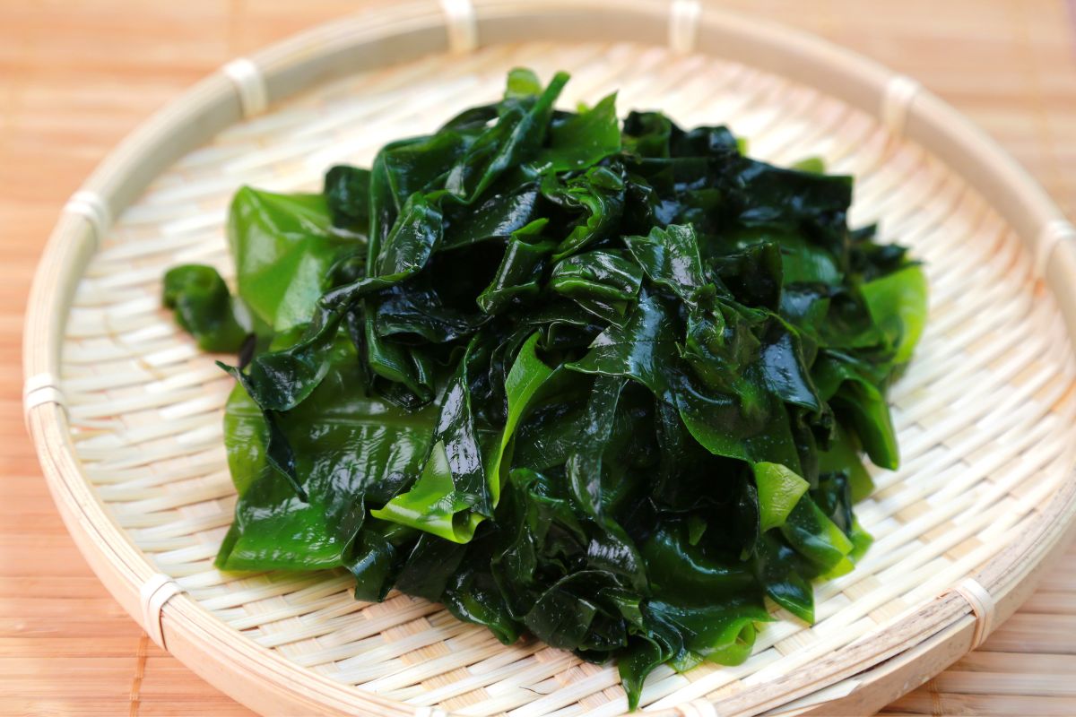 japanese seaweed
