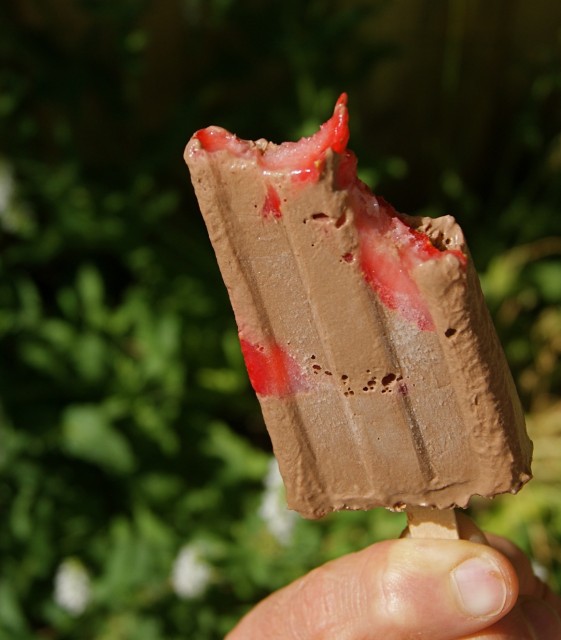 Chocolate-covered Strawberry Pops