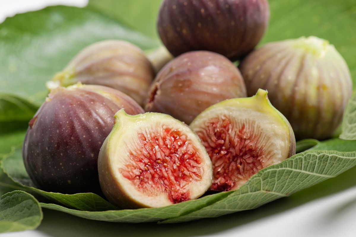 bunch of ripe figs