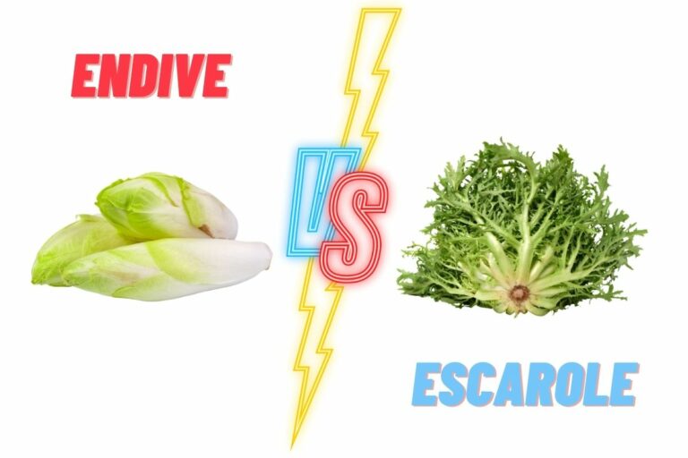 Endive VS Escarole: Which One Should You Choose?
