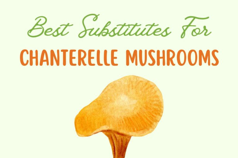 Switch Things Up: 15 Top Replacements For Chanterelle Mushrooms
