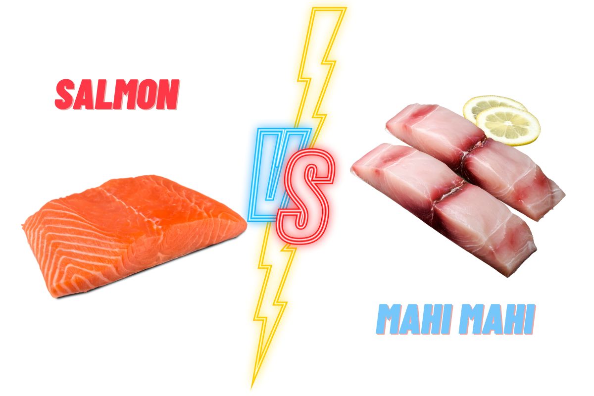 Mahi-Mahi VS Salmon