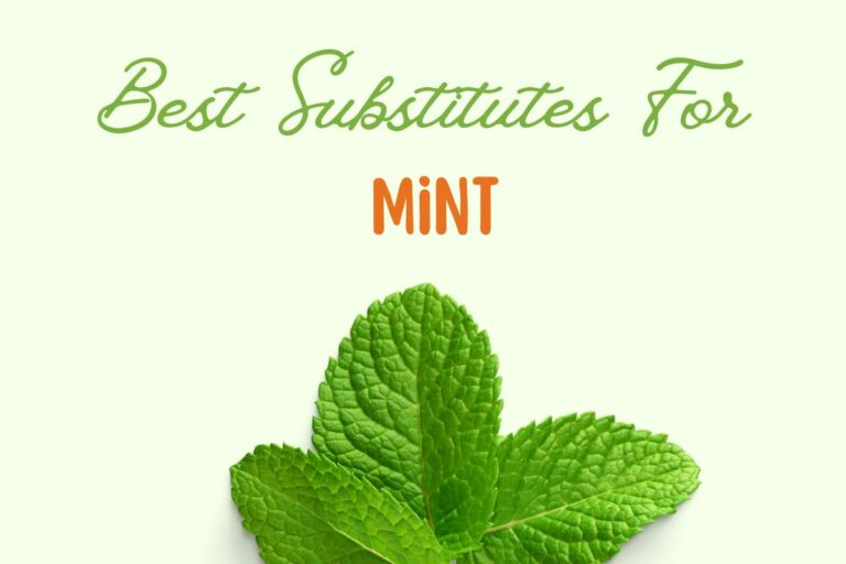 7 Best Mint Substitutes